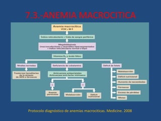 7.3.-ANEMIA MACROCITICA
Protocolo diagnóstico de anemias macrociticas. Medicine. 2008
 
