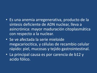 • Es una anemia arregenerativa, producto de la
síntesis deficiente de ADN nuclear, lleva a
asincrónica: mayor maduración citoplasmática
con respecto a la nuclear.
• Se ve afectada la serie mieloide
megacariocitica, y células de recambio celular
rápido: piel, mucosas y tejido gastrointestinal.
• La principal causa es por carencia de b12 y
acido fólico.
 