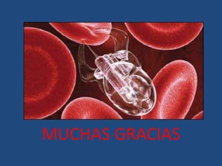 MUCHAS GRACIAS
 