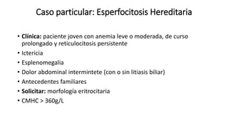 Caso particular: Esperfocitosis Hereditaria
• Clínica: paciente joven con anemia leve o moderada, de curso
prolongado y reticulocitosis persistente
• Ictericia
• Esplenomegalia
• Dolor abdominal intermintete (con o sin litiasis biliar)
• Antecedentes familiares
• Solicitar: morfología eritrocitaria
• CMHC > 360g/L
 