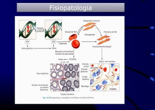 Fisiopatologia
 