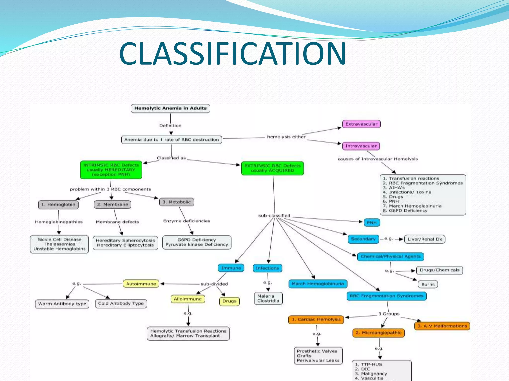 CLASSIFICATION
 
