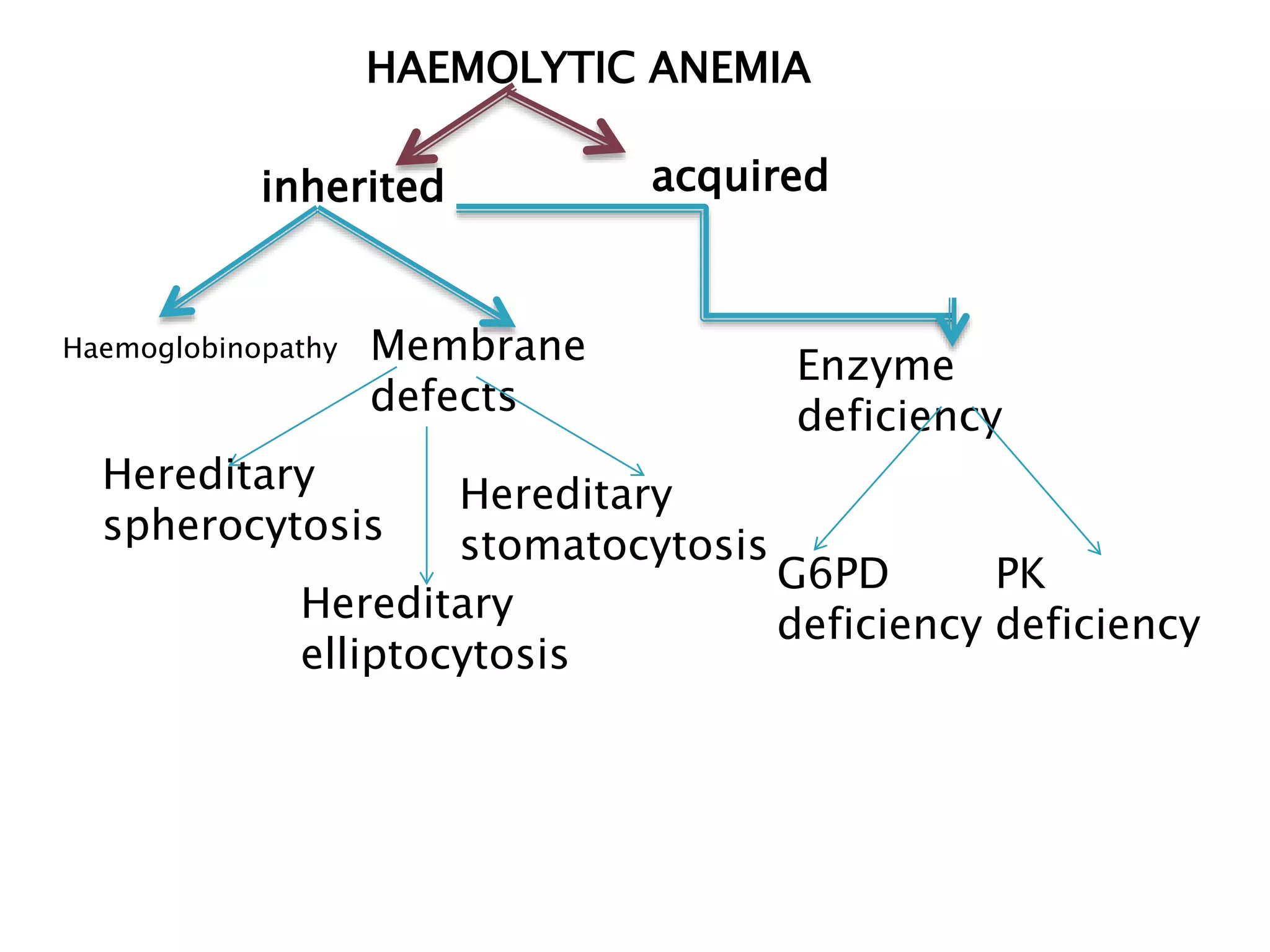 HAEMOLYTIC ANEMIA
inherited acquired
Haemoglobinopathy Membrane
defects
Enzyme
deficiency
Hereditary
spherocytosis
Hereditary
elliptocytosis
Hereditary
stomatocytosis
G6PD
deficiency
PK
deficiency
 