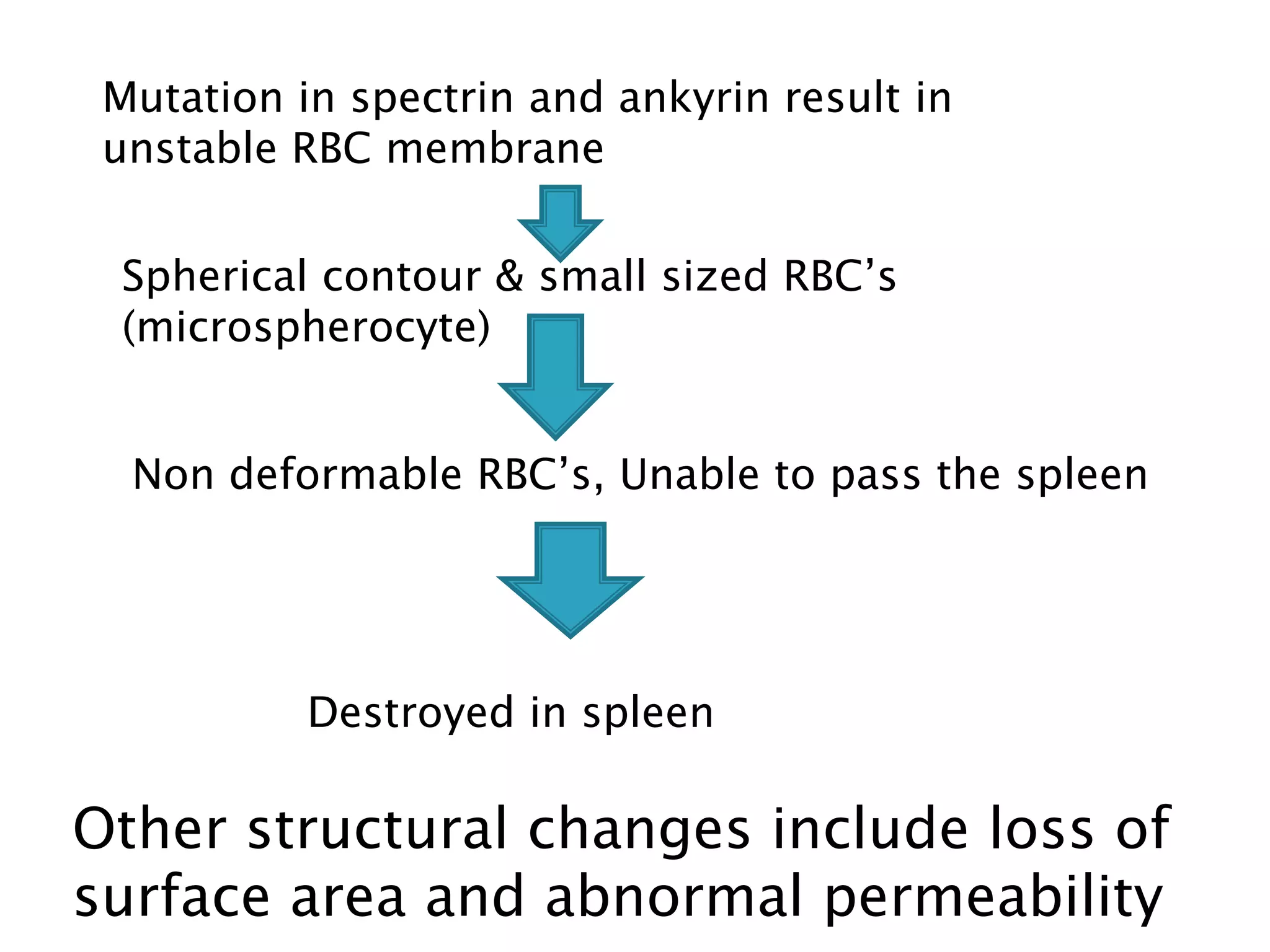 Mutation in spectrin and ankyrin result in
unstable RBC membrane
Spherical contour & small sized RBC’s
(microspherocyte)
Non deformable RBC’s, Unable to pass the spleen
Destroyed in spleen
Other structural changes include loss of
surface area and abnormal permeability
 