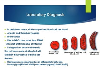 Laboratory Diagnosis
 In peripheral smear, sickle-shaped red blood cell are found.
 Anemia and thrombocytopenia
 Leukocytosis
 Rise in WBC count more than 20000
with a left shift indicative of infection
 If diagnosis of sickle cell anemia
Has not been made sickling test will
Establish the presence of sickle cell
Anemia.
 Hemoglobin electrophoresis can differentiate between
homozygous(80-90% HbSS) and heterozygous(35-40% HbSS)
 