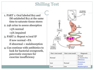 Shilling Test
1. PART 1: Oral labeled B12 and
IM unlabeled B12 at the same
time to saturate tissue stores
2. 24h urine to assess absorption
>5% normal
<5% impaired
3. PART 2: Repeat w/oral IF
if now normal =PA
if abnormal = malabsorption
4. Can continue with antibiotics to
look for bacterial overgrowth,
pancreatic enzymes for
exocrine insufficiency
Part 1 test result Part 2 test result Diagnosis
Normal -
Normal
or vitamin B12
deficiency
Low Normal
Pernicious
anemia
Low Low Malabsorption
 
