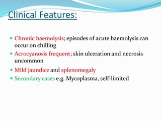 Clinical Features:
 Chronic haemolysis; episodes of acute haemolysis can
occur on chilling
 Acrocyanosis frequent; skin ulceration and necrosis
uncommon
 Mild jaundice and splenomegaly
 Secondary cases e.g. Mycoplasma, self-limited
 