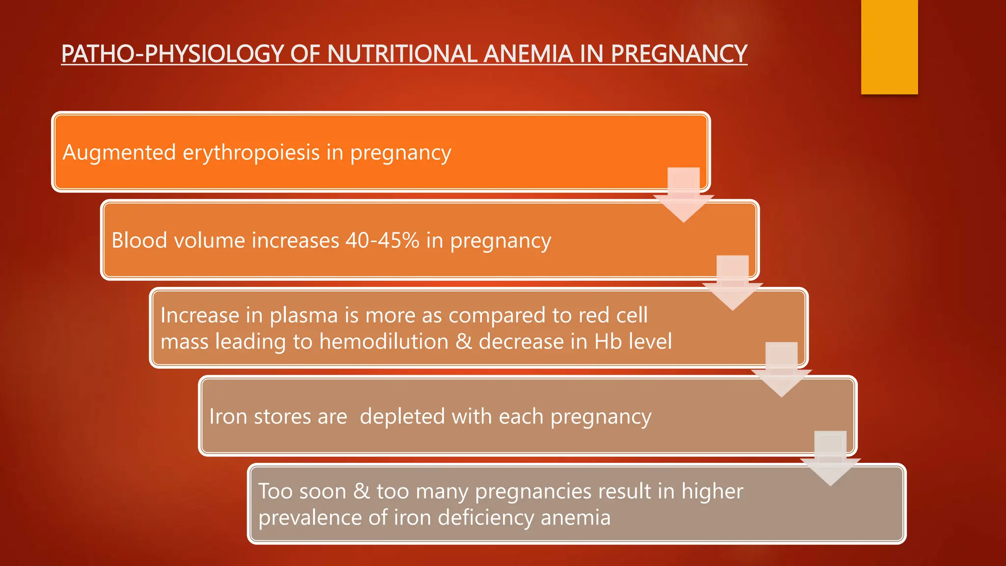 Can Pregnant Women Eat Sushi? - TheBump.com