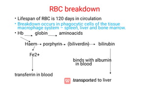 Excessive Rbc Breakdown Anemia and polycythemia 2 in physiology for medical students.pdf