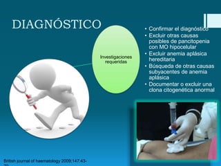 DIAGNÓSTICO
Investigaciones
requeridas

British journal of haematology 2009;147:43-

• Confirmar el diagnóstico
• Excluir otras causas
posibles de pancitopenia
con MO hipocelular
• Excluir anemia aplásica
hereditaria
• Búsqueda de otras causas
subyacentes de anemia
aplásica
• Documentar o excluir una
clona citogenética anormal

 