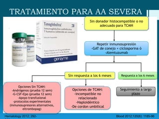 TRATAMIENTO PARA AA SEVERA
Sin donador histocompatible o no
adecuado para TCMH

Repetir inmunosupresión
-GAT de conejo + ciclosporina ó
-Alemtuzumab

Sin respuesta a los 6 meses
Opciones Sin TCMH:
-Andrógenos (prueba 12 sem)
-G-CSF+Epo (prueba 12 sem)
-Apoyo transfusional
-protocolos experimentales
(inmunosupresores alternativos,
eltrombopag)
Hematology 2012; 292-

Opciones de TCMH:
-incompatible no
relacionado
-Haploidéntico
-De cordon umbilical

Respuesta a los 6 meses

Seguimiento a largo
plazo

Blood 2012;120(6): 1185-96

 