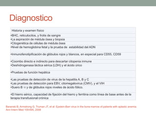 Diagnostico
Historia y examen físico
•BHC, reticulocitos, y frotis de sangre
•La aspiración de médula ósea y biopsia
•Citogenética de células de médula ósea
•Nivel de hemoglobina fetal y la prueba de estabilidad del ADN
•Inmunofenotipificación de glóbulos rojos y blancos, en especial para CD55, CD59
•Coombs directo e indirecto para descartar citopenia inmune
•Deshidrogenasa láctica sérica (LDH) y el ácido úrico
•Pruebas de función hepática
•Las pruebas de detección de virus de la hepatitis A, B y C
•Las pruebas de detección para EBV, citomegalovirus (CMV), y el VIH
•Suero B 12 y de glóbulos rojos niveles de ácido fólico.
•El hierro sérico, capacidad de fijación del hierro y ferritina como línea de base antes de la
terapia transfusional crónica
Baranski B, Armstrong G, Truman JT, et al: Epstein-Barr virus in the bone marrow of patients with aplastic anemia.
Ann Intern Med 109:695, 2008
 