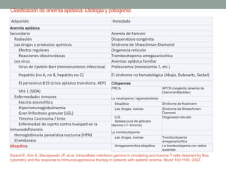 Clasificación de anemia aplásica: Etiologia y patogenia
Adquirido Heredado
Anemia aplásica
Secundario Anemia de Fanconi
Radiación Disqueratosis congénita
Las drogas y productos químicos Síndrome de Shwachman-Diamond
Efectos regulares Disgenesia reticular
Reacciones idiosincrásicas Trombocitopenia amegacariocítica
Los virus Anemias aplásica familiar
Virus de Epstein-Barr (mononucleosis infecciosa) Preleucemia (monosomía 7, etc.)
Hepatitis (no A, no B, hepatitis no-C) El síndrome no hematológica (Abajo, Dubowitz, Seckel)
El parvovirus B19 (crisis aplásica transitoria, AEP)
VIH-1 (SIDA)
Enfermedades inmunes
Fascitis eosinofílica
Hiperinmunoglobulinemia
Gran linfocitosis granular (LGL)
Timoma Carcinoma / timo
Enfermedad de injerto contra huésped en la
inmunodeficiencia
Hemoglobinuria paroxística nocturna (HPN)
El embarazo
Idiopática
Citopenias
PRCA APCR congénita (anemia de
Diamond-Blackfan)
La neutropenia / agranulocitosis
Idiopática Síndrome de Kostmann
Las drogas, toxinas Síndrome de Shwachman-
Diamond
LGL
Aplasia pura de glóbulos
blancos (+/- timoma)
Disgenesia reticular
La trombocitopenia
Las drogas, toxinas Trombocitopenia
amegacariocítica
Amegacariocítica idiopática La trombocitopenia con radios
ausentes
Sloand E, Kim S, Maciejewski JP, et al: Intracellular interferon-gamma in circulating and marrow T cells detected by flow
cytometry and the response to immunosuppressive therapy in patients with aplastic anemia. Blood 100:1185, 2002.
 