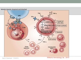 Date of download: 11/8/2015
Aplastic Anemia: Acquired and Inherited
Williams Hematology, 8e, 2010
 