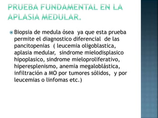  Biopsia de medula ósea ya que esta prueba
permite el diagnostico diferencial de las
pancitopenias ( leucemia oligoblastica,
aplasia medular, sindrome mielodisplasico
hipoplasico, sindrome mieloproliferativo,
hiperesplenismo, anemia megaloblástica,
infiltración a MO por tumores sólidos, y por
leucemias o linfomas etc.)
 