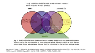 ANEMIA APLASICA. ENFERMAD AUTOINME INMUNIDEFICNETE | PPTX