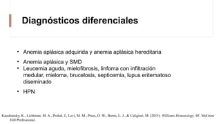 Diagnósticos diferenciales
• Anemia aplásica adquirida y anemia aplásica hereditaria
• Anemia aplásica y SMD
• Leucemia aguda, mielofibrosis, linfoma con infiltración
medular, mieloma, brucelosis, septicemia, lupus eritematoso
diseminado
• HPN
Kaushansky, K., Lichtman, M. A., Prchal, J., Levi, M. M., Press, O. W., Burns, L. J., & Caligiuri, M. (2015). Williams Hematology, 9E. McGraw
Hill Professional.
 