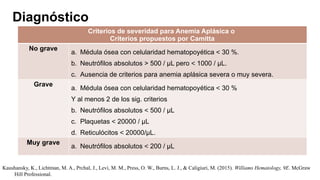 Kaushansky, K., Lichtman, M. A., Prchal, J., Levi, M. M., Press, O. W., Burns, L. J., & Caligiuri, M. (2015). Williams Hematology, 9E. McGraw
Hill Professional.
Diagnóstico
Criterios de severidad para Anemia Aplásica o
Criterios propuestos por Camitta
No grave
a. Médula ósea con celularidad hematopoyética 30 %.
˂
b. Neutrófilos absolutos > 500 / μL pero 1000 / μL.
˂
c. Ausencia de criterios para anemia aplásica severa o muy severa.
Grave
a. Médula ósea con celularidad hematopoyética 30 %
˂
Y al menos 2 de los sig. criterios
b. Neutrófilos absolutos 500 / μL
˂
c. Plaquetas 20000 / μL
˂
d. Reticulócitos 20000/μL.
˂
Muy grave
a. Neutrófilos absolutos 200 / μL
˂
 