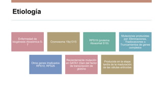 Etiología
Enfermedad de
biogénesis ribosómica 5-
7
Cromosoma 19q1315
RPS19 (proteína
ribosomal S19)
Mutaciones producidas
por: Eliminaciones,
Traslocaciones o
Truncamientos de genes
completos
Otros genes implicados
RPS10, RPS26
Recientemente mutación
en GATA1 (Gen del factor
de transcripción de
globina
Producida en la etapa
tardía de la maduración
de las células eritroides
 