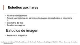 Estudios auxiliares
• Análisis cromosómicos
• Rotura cromosómica en sangre periférica con diepoxibutano o mitomicina
C
• Citometría de flujo
• Pruebas serológicas
Estudios de imagen
• Resonancia magnética
Kaushansky, K., Lichtman, M. A., Prchal, J., Levi, M. M., Press, O. W., Burns, L. J., & Caligiuri, M. (2015). Williams Hematology, 9E. McGraw
Hill Professional.
 