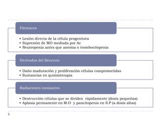 Fármacos

• Lesión directa de la célula progenitora
• Supresión de MO mediada por Ac
• Neutropenia antes que anemia o trombocitopenia


Derivados del Benceno

• Daño maduración y proliferación células comprometidas
• Sustancias en quimioterapia


Radiaciones ionizantes

• Destrucción células que se dividen rápidamente (dosis pequeñas)
• Aplasia permanente en M.O y pancitopenia en S.P (a dosis altas)
 
