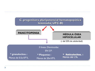 C. progenitora pluripotencial hematopoyética
                       lesionada( UFC-B)


        PANCITOPENIA                             MÉDULA ÓSEA
                                                 HIPOCELULAR
                                               (- del 25% de celularidad)

                       3 líneas. Disminuidas
                              EN S.P:
 * granulocitos. :    * Plaquetas :              * Reticulocitos. :
Menos de 0.5x109//L                              Menos del 1%
                      Menos de 20x109/L
 