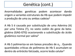 Genética (cont.)
Anormalidades genéticas podem acontecer dando
origem a variantes estruturais da Hb que podem impedir
a produção de uma ou ambas cadeias2
A Hb S é causada por substituição de uma Adenina (A)
por uma Timina (T), no sexto codón do gene da beta-
globina (GAG-GTG) ocasionando a substituição do ácido
glutâmico normal por valina3
A Hb S polimeriza-se em baixas pressões de o2 . Quando
quantidades críticas de polímeros de Hb S acumulam-se
dentro do eritrócito falcizado, ocorre lesão celular3
 