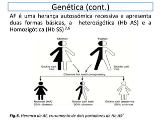 Genética (cont.)
AF é uma herança autossómica recessiva e apresenta
duas formas básicas, a heterozigótica (Hb AS) e a
Homozigótica (Hb SS) 2,6
Fig.6. Heranca da AF, cruzamento de dois portadores de Hb AS7
 