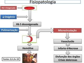 Fisiopatologia
↓Oxigénio
Hb S desoxigenado
Polimerização
Hemólise
Hb S Oxigenado
Microcirculação
Vasoclusão
Infarto→Necrose
Disfunção dos órgãos
Crises dolorosasFontes: 2,4 ,8 e 10
 