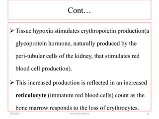 Cont…
 Tissue hypoxia stimulates erythropoietin production(a
glycoprotein hormone, naturally produced by the
peri-tubular...