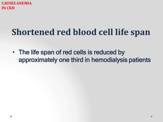 Shortened red blood cell life span
• The life span of red cells is reduced by
approximately one third in hemodialysis patients
CAUSES ANEMIA
IN CKD
 