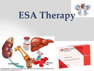 ESA Therapy
 
