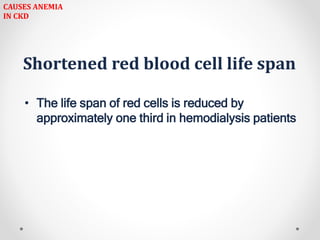 Shortened red blood cell life span
• The life span of red cells is reduced by
approximately one third in hemodialysis patients
CAUSES ANEMIA
IN CKD
 