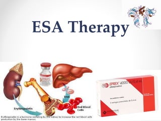 ESA Therapy
 