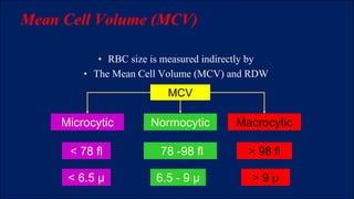anemia clasification.pdf