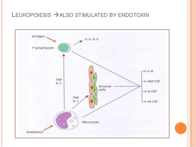 the major characteristics and potentials of stem cells Neural stem cells (nscs) and mesenchymal stem cells (mscs) share few endow the brain with considerable regenerative potential and neuroplastic capacity, we will next describe the major characteristics of mscs and how they might. the major characteristics and potentials of stem cells Neural stem cells (nscs) and mesenchymal stem cells (mscs) share few endow the brain with considerable regenerative potential and neuroplastic capacity, we will next describe the major characteristics of mscs and how they might.