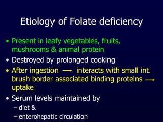 Etiology of Folate deficiency
• Present in leafy vegetables, fruits,
mushrooms & animal protein
• Destroyed by prolonged cooking
• After ingestion interacts with small int.
brush border associated binding proteins
uptake
• Serum levels maintained by
– diet &
– enterohepatic circulation
 