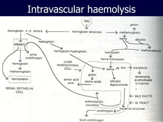 Intravascular haemolysis
 
