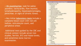 Comprehensive Overview of Anemia: Pathophysiology, Diagnosis, and ...