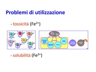 Problemi di utilizzazione
- tossicità (Fe2+)

- solubilità (Fe3+)

 