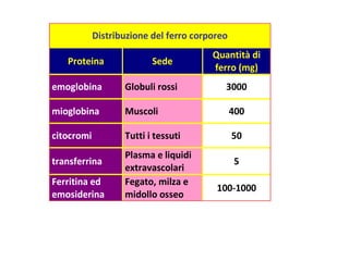 Distribuzione del ferro corporeo
Proteina

Sede

Quantità di
ferro (mg)

emoglobina

Globuli rossi

3000

mioglobina

Muscoli

400

citocromi

Tutti i tessuti

50

transferrina
Ferritina ed
emosiderina

Plasma e liquidi
extravascolari
Fegato, milza e
midollo osseo

5
100-1000

 