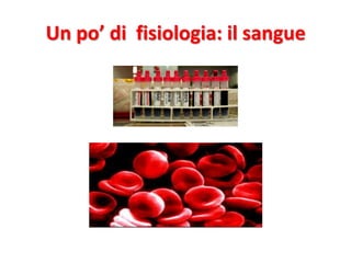Un po’ di fisiologia: il sangue

 
