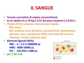 IL SANGUE
• Tessuto connettivo di origine mesenchimale
• In un adulto di ca 70 Kg è 1/12 del peso corporeo ( 5-6 litri )
• Plasma (55%), sostanza intercellulare liquida:
90% acqua
10% sostanza secca (proteine, glicoproteine, lipoproteine,
glucosio, urea, colesterolo, NEFA, ioni minerali, ormoni,
vitamine, enzimi, anticorpi, gas)
• Elementi figurati (45%):
RBC : 4 – 5.5 X 1000000 µL
WBC: 4000-10000 µL
PLT : 150-450 x 1000 µL
• pH :7.38-7.40

 