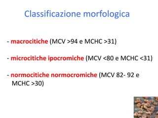 Classificazione morfologica
- macrocitiche (MCV >94 e MCHC >31)
- microcitiche ipocromiche (MCV <80 e MCHC <31)
- normocitiche normocromiche (MCV 82- 92 e
MCHC >30)

 