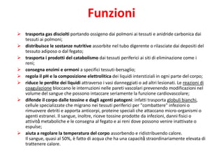 Funzioni
 trasporta gas disciolti portando ossigeno dai polmoni ai tessuti e anidride carbonica dai
tessuti ai polmoni;
 distribuisce le sostanze nutritive assorbite nel tubo digerente o rilasciate dai depositi del
tessuto adiposo o dal fegato;
 trasporta i prodotti del catabolismo dai tessuti periferici ai siti di eliminazione come i
reni;
 consegna enzimi e ormoni a specifici tessuti-bersaglio;
 regola il pH e la composizione elettrolitica dei liquidi interstiziali in ogni parte del corpo;
 riduce le perdite dei liquidi attraverso i vasi danneggiati o ad altri lesionati. Le reazioni di
coagulazione bloccano le interruzioni nelle pareti vascolari prevenendo modificazioni nel
volume del sangue che possono intaccare seriamente la funzione cardiovascolare;
 difende il corpo dalle tossine e dagli agenti patogeni: infatti trasporta globuli bianchi,
cellule specializzate che migrano nei tessuti periferici per "combattere" infezioni o
rimuovere detriti e apporta anticorpi, proteine speciali che attaccano micro-organismi o
agenti estranei. Il sangue, inoltre, riceve tossine prodotte da infezioni, danni fisici o
attività metaboliche e le consegna al fegato e ai reni dove possono venire inattivate o
espulse;
 aiuta a regolare la temperatura del corpo assorbendo e ridistribuendo calore.
Il sangue, quasi al 50%, è fatto di acqua che ha una capacità straordinariamente elevata di
trattenere calore.

 