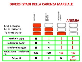DIVERSI STADI DELLA CARENZA MARZIALE

Fe di deposito
Fe di trasporto
Fe eritrocitario
Ferritina (µg/l)

N

Sideremia (µg/dl)

N

N

Transferrina ( mg/dl)

N

N

Saturazione Transferrina

>20

>20

(%)

Eritrociti

N

N

<15

<10

N

Ipo
Micro

 