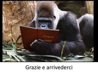 Grazie e arrivederci

 