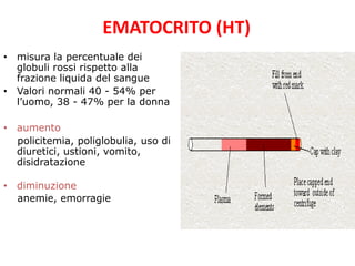 EMATOCRITO (HT)
• misura la percentuale dei
globuli rossi rispetto alla
frazione liquida del sangue
• Valori normali 40 - 54% per
l’uomo, 38 - 47% per la donna
• aumento
policitemia, poliglobulia, uso di
diuretici, ustioni, vomito,
disidratazione
• diminuzione
anemie, emorragie

 