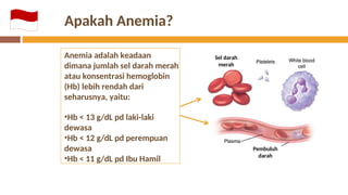 Anemia adalah keadaan dimana jumlah sel darah merah atau konsentrasi ...