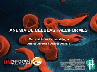ANEMIA DE CÉLULAS FALCIFORMES
       Medicina Interna - Hematología
      Andrés Álvarez & Andrés Arévalo
 